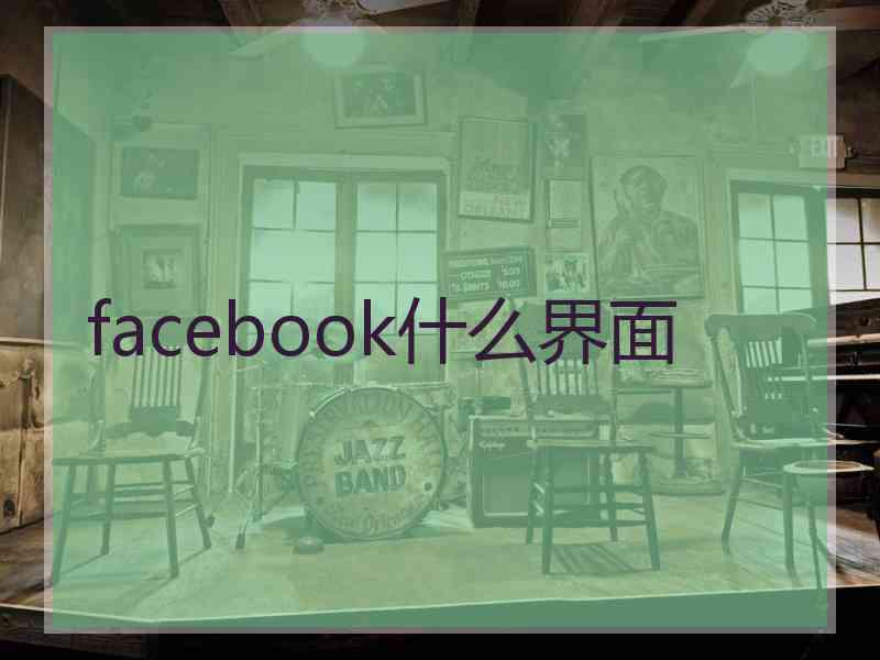 facebook什么界面