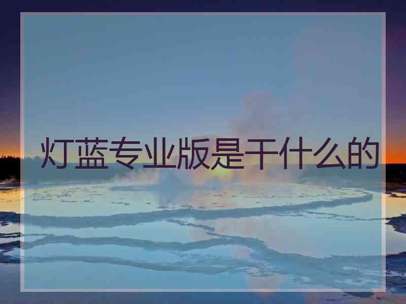 灯蓝专业版是干什么的
