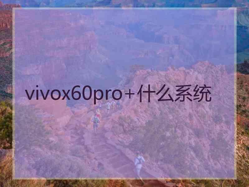 vivox60pro+什么系统