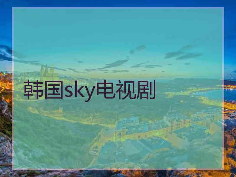 韩国sky电视剧