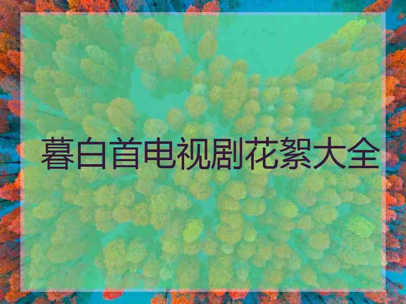 暮白首电视剧花絮大全