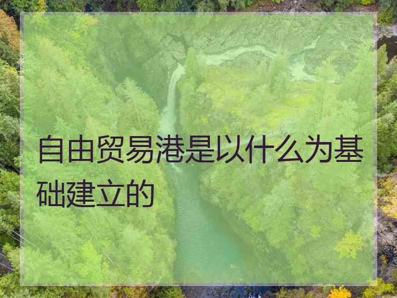 自由贸易港是以什么为基础建立的