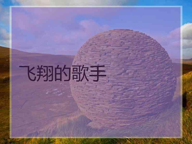 飞翔的歌手
