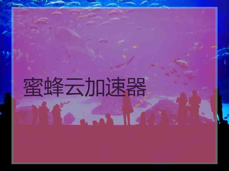 蜜蜂云加速器
