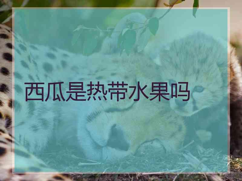 西瓜是热带水果吗