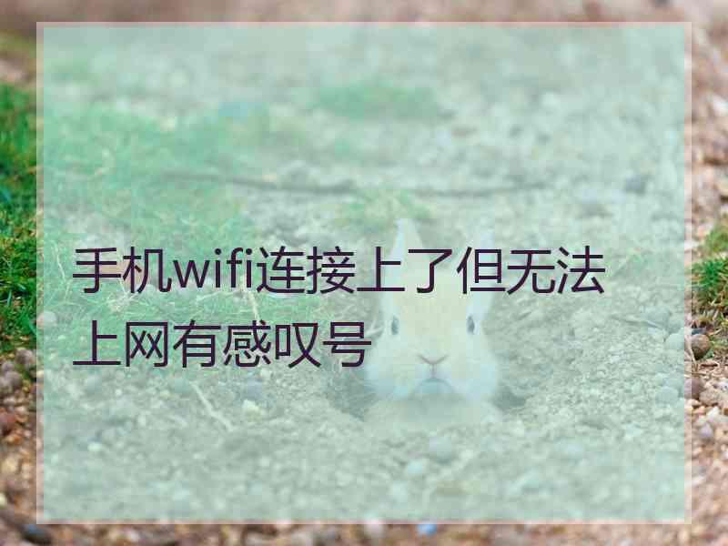 手机wifi连接上了但无法上网有感叹号