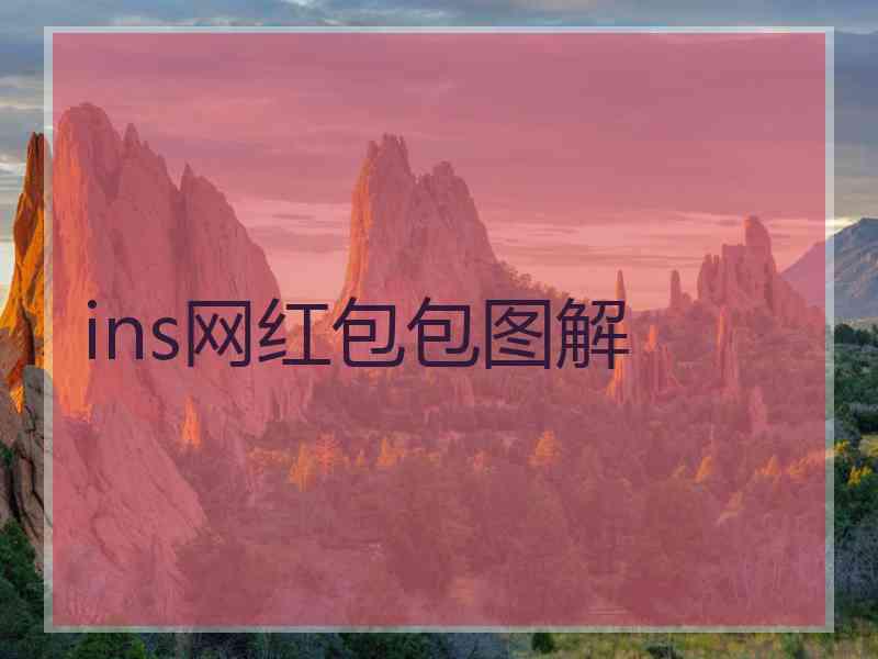 ins网红包包图解