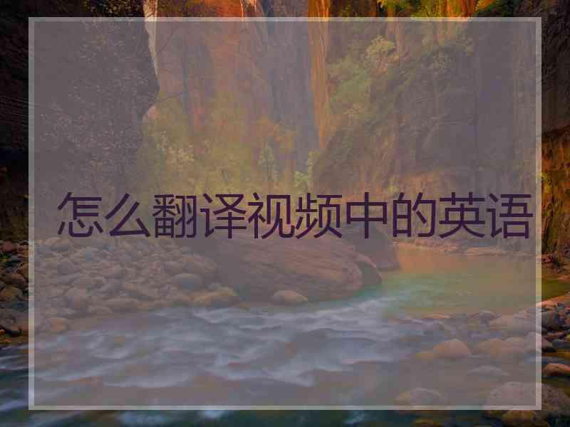 怎么翻译视频中的英语