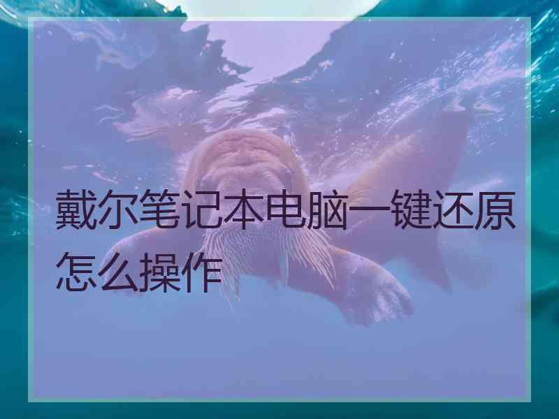 戴尔笔记本电脑一键还原怎么操作