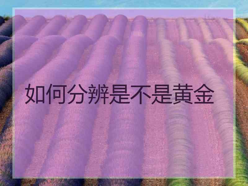 如何分辨是不是黄金