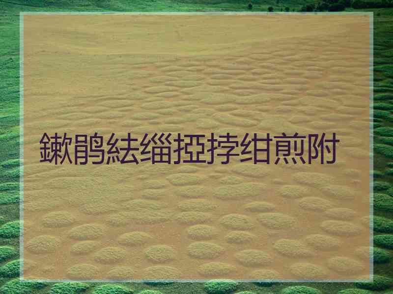 鏉鹃紶缁掗挬绀煎附