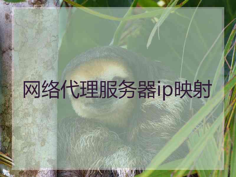 网络代理服务器ip映射