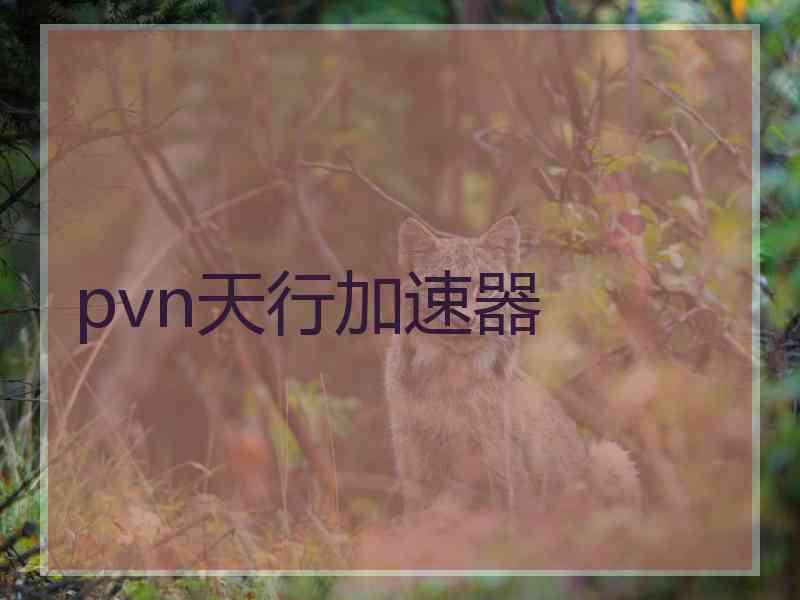 pvn天行加速器