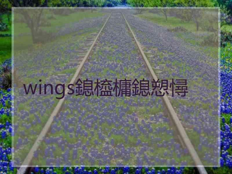 wings鎴橀槦鎴愬憳