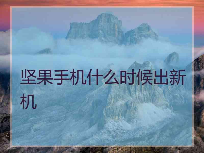 坚果手机什么时候出新机