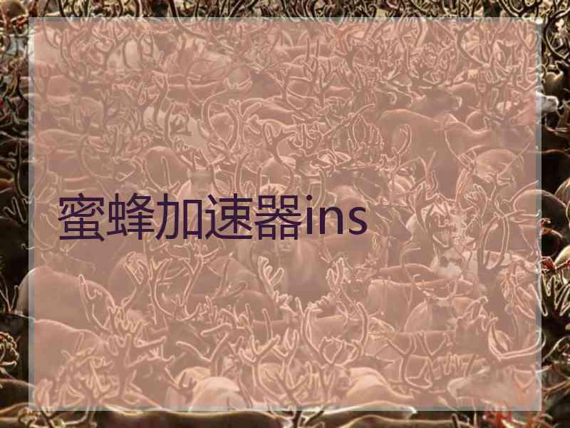 蜜蜂加速器ins