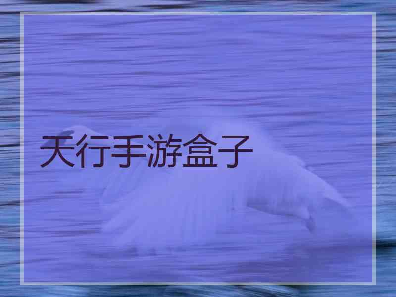 天行手游盒子