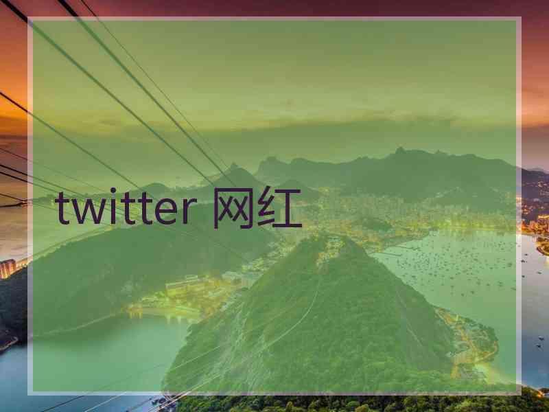 twitter 网红