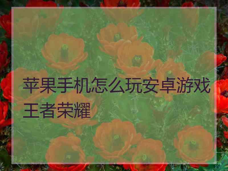 苹果手机怎么玩安卓游戏王者荣耀