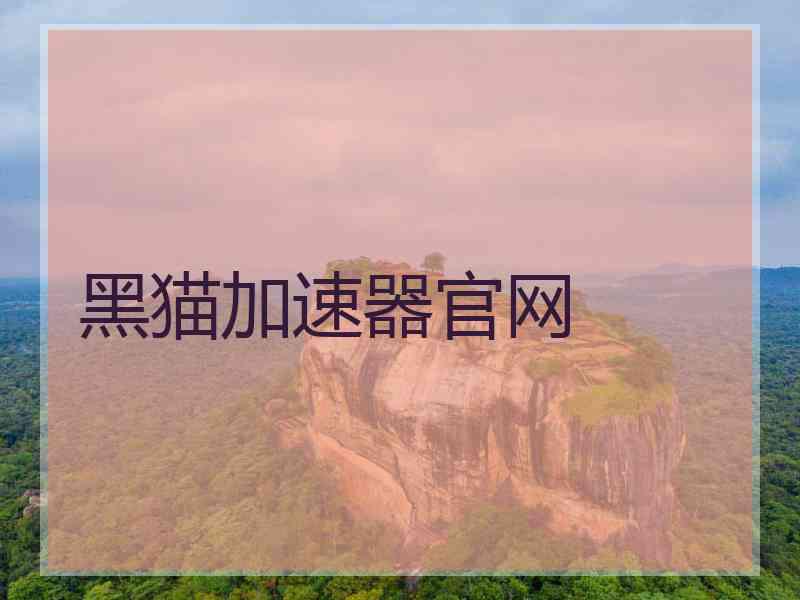 黑猫加速器官网