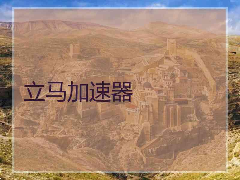 立马加速器
