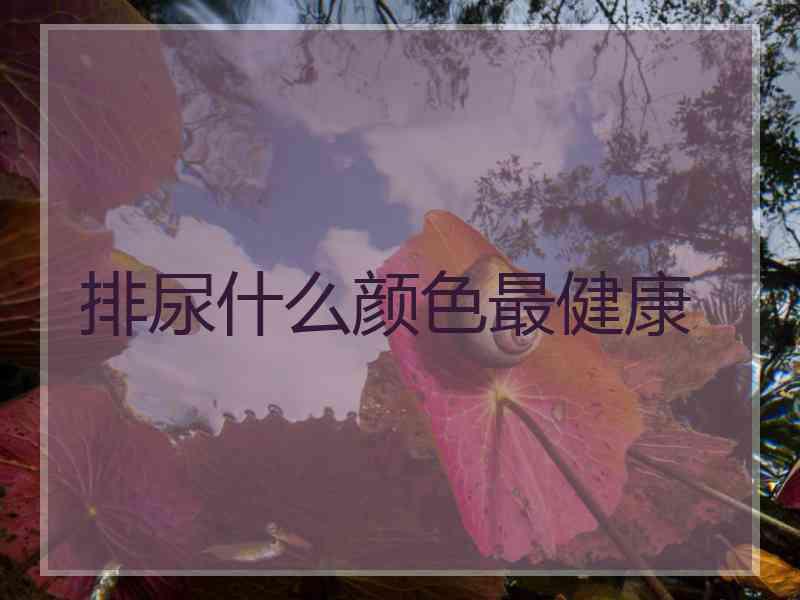 排尿什么颜色最健康