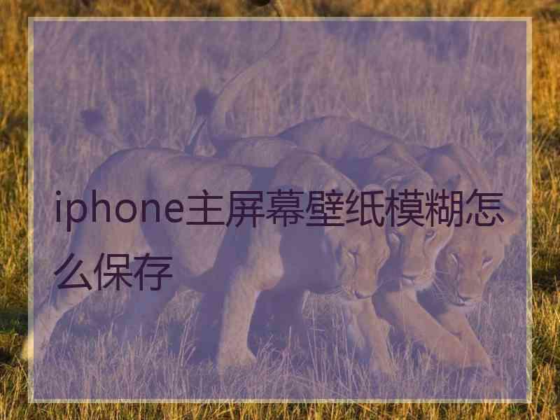 iphone主屏幕壁纸模糊怎么保存