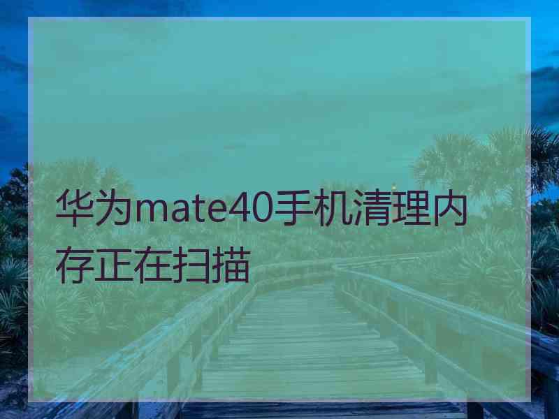 华为mate40手机清理内存正在扫描