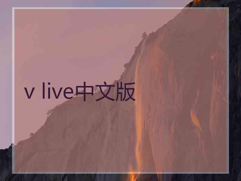 v live中文版