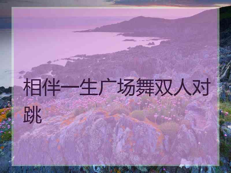 相伴一生广场舞双人对跳