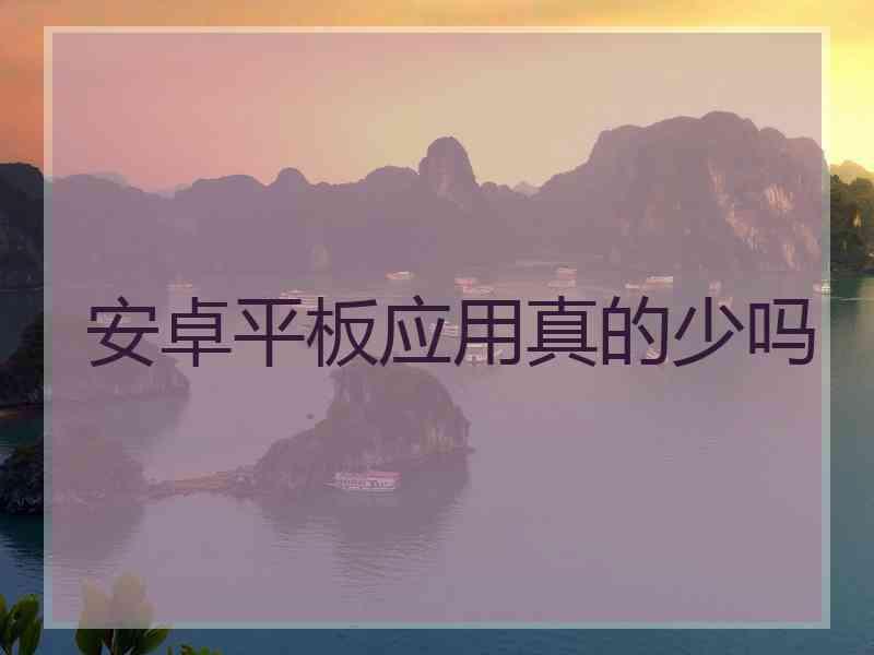 安卓平板应用真的少吗