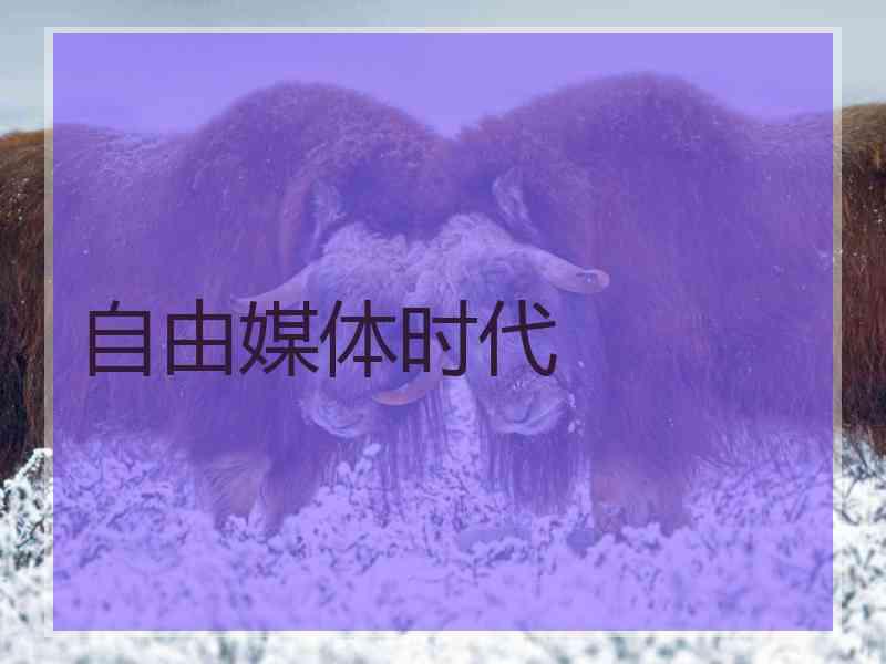 自由媒体时代