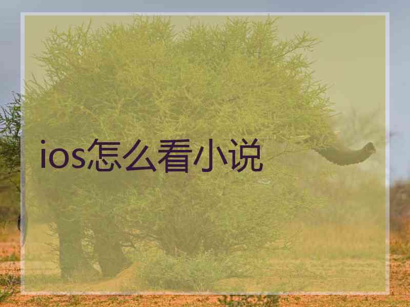 ios怎么看小说