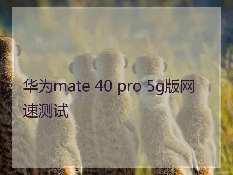 华为mate 40 pro 5g版网速测试