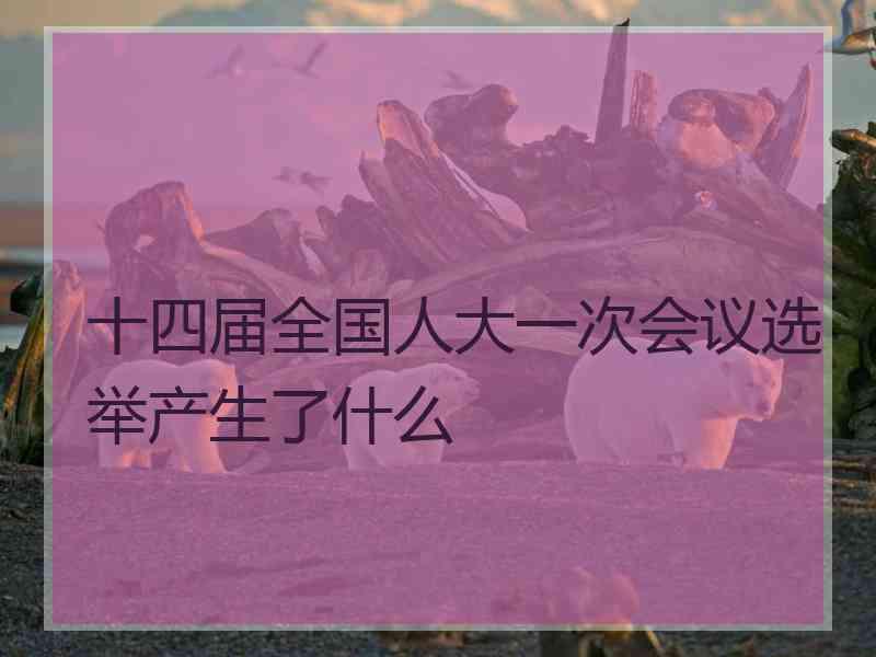 十四届全国人大一次会议选举产生了什么
