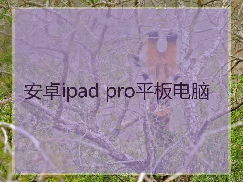 安卓ipad pro平板电脑