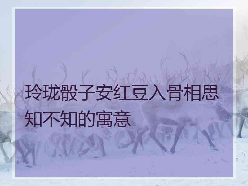 玲珑骰子安红豆入骨相思知不知的寓意