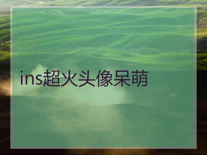 ins超火头像呆萌