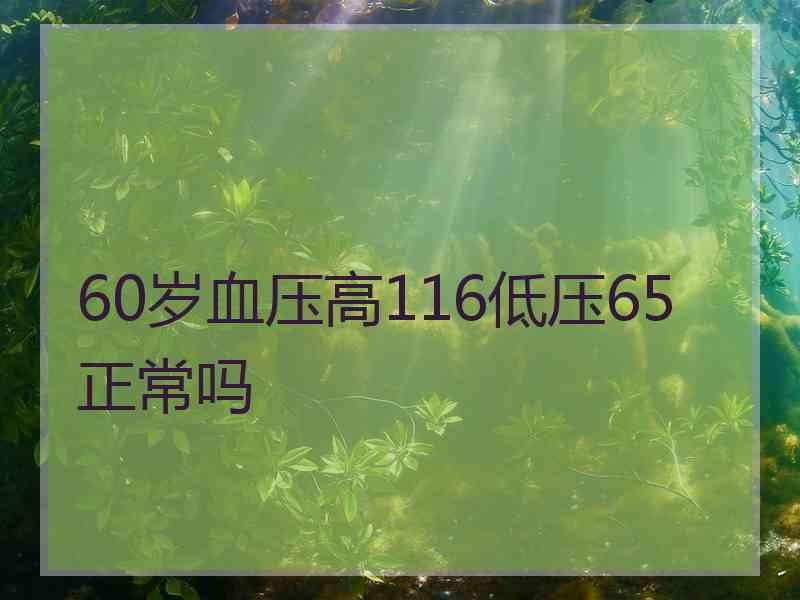 60岁血压高116低压65正常吗