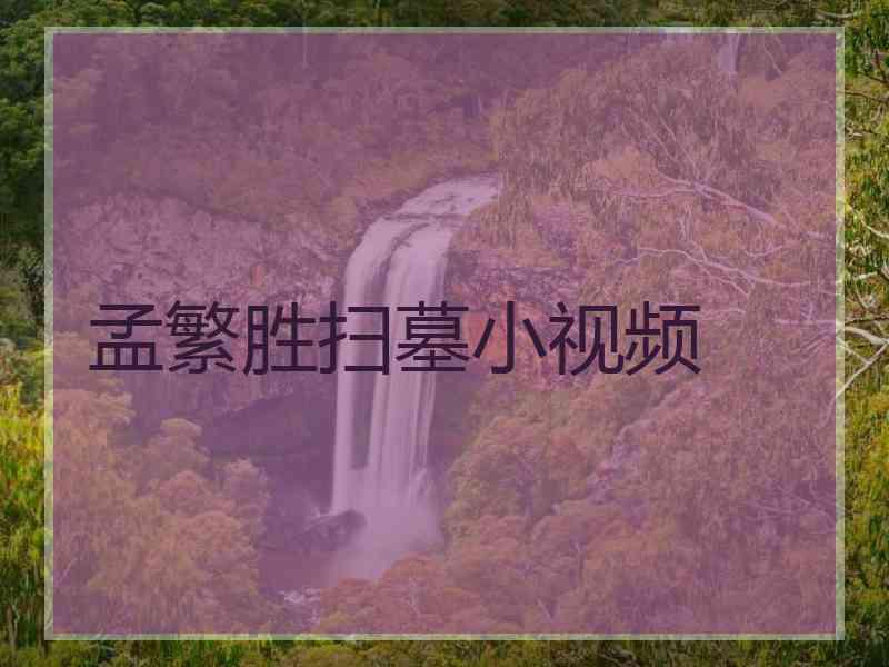 孟繁胜扫墓小视频