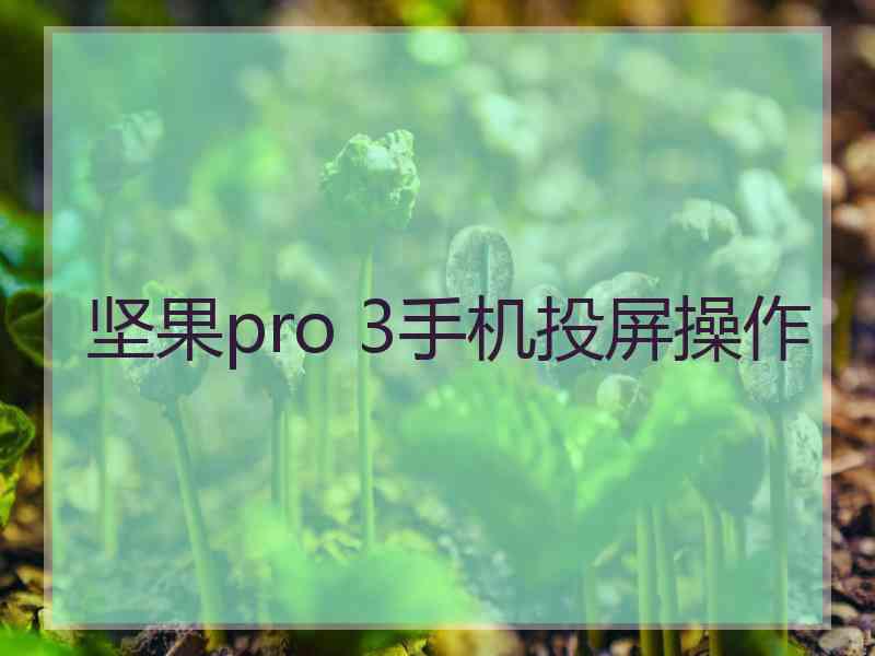 坚果pro 3手机投屏操作