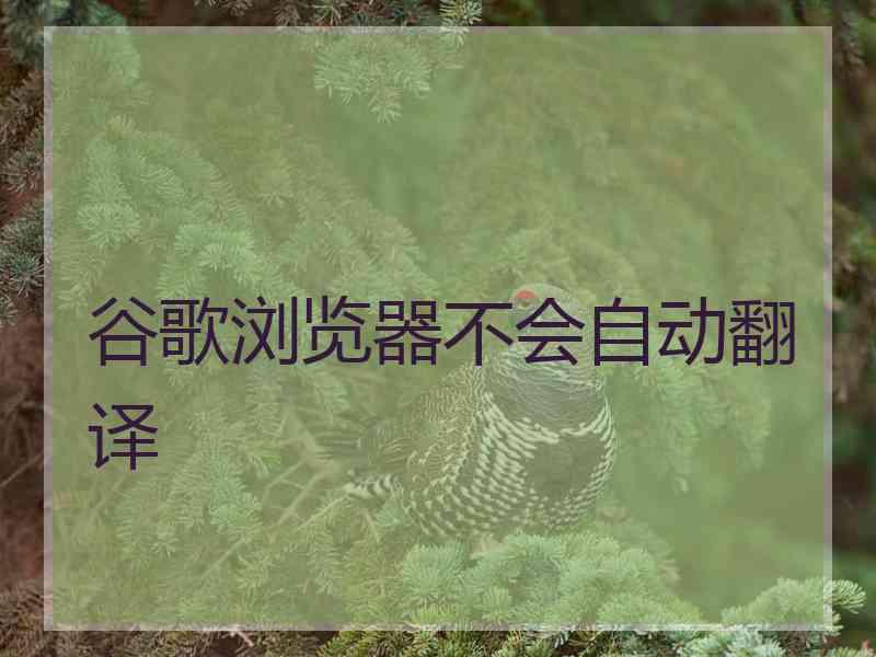 谷歌浏览器不会自动翻译