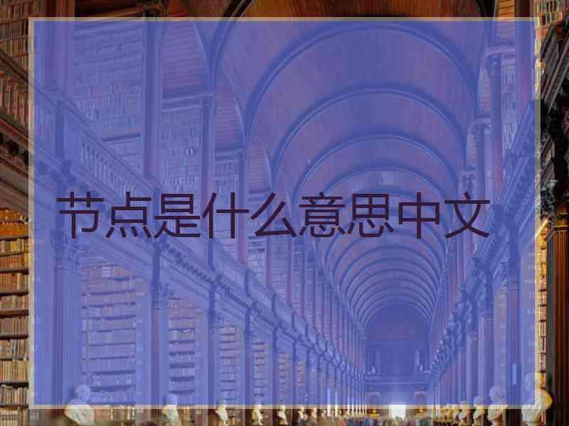节点是什么意思中文
