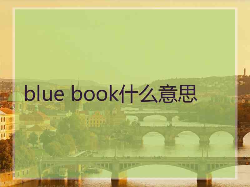 blue book什么意思