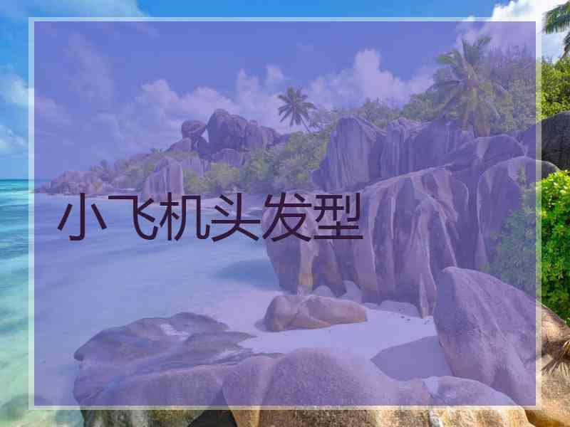 小飞机头发型