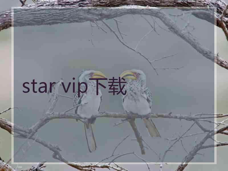 star vip下载
