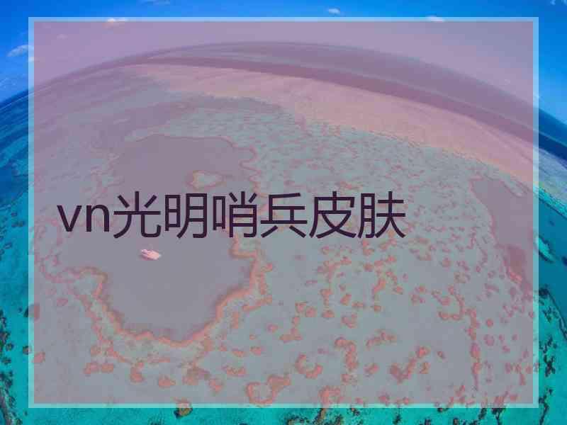 vn光明哨兵皮肤
