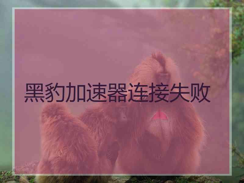 黑豹加速器连接失败