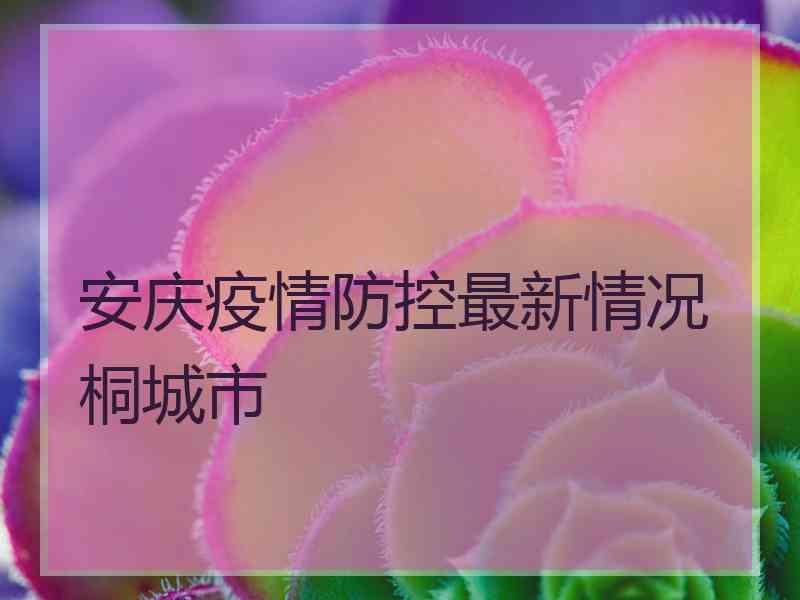 安庆疫情防控最新情况桐城市