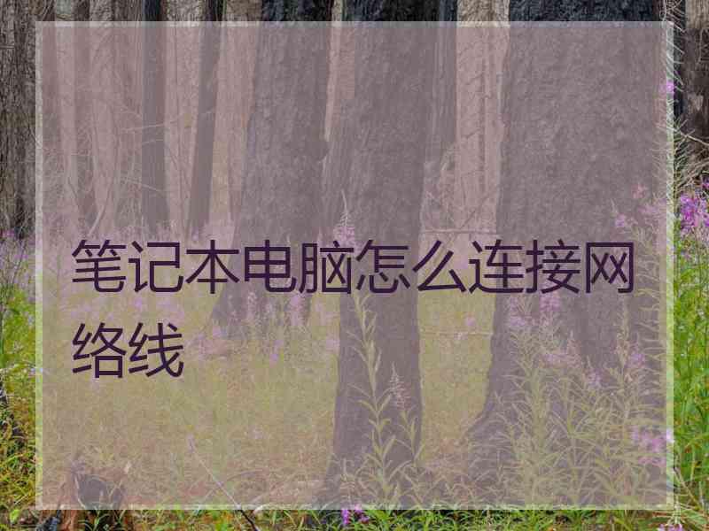 笔记本电脑怎么连接网络线